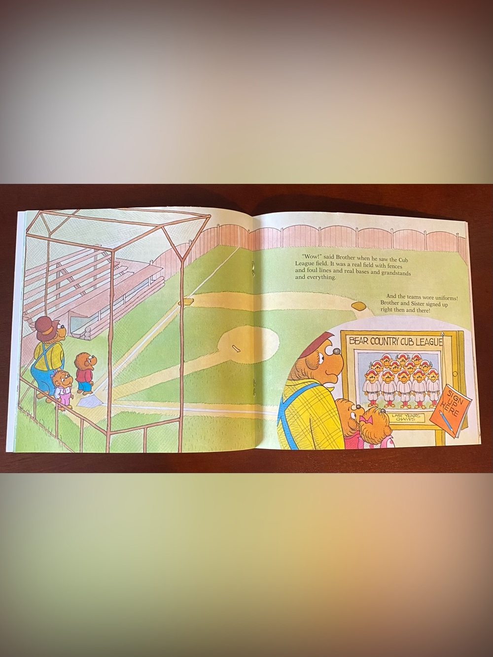 Kids Paperback Set - Paw Patrol Fire Rescue & The Berenstain Bears - Picture 7 of 9